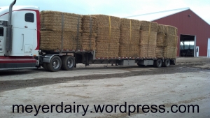 Load of straw is ready to unload.